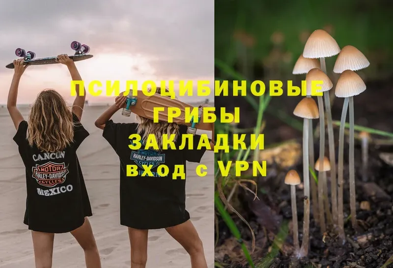 Псилоцибиновые грибы MAGIC MUSHROOMS  МЕГА зеркало  Ялуторовск 